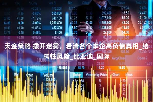 天金策略 拨开迷雾，看清各个车企高负债真相_结构性风险_比亚迪_国际