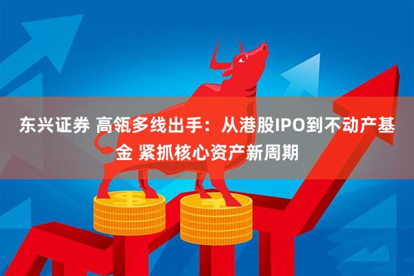 东兴证券 高瓴多线出手：从港股IPO到不动产基金 紧抓核心资产新周期