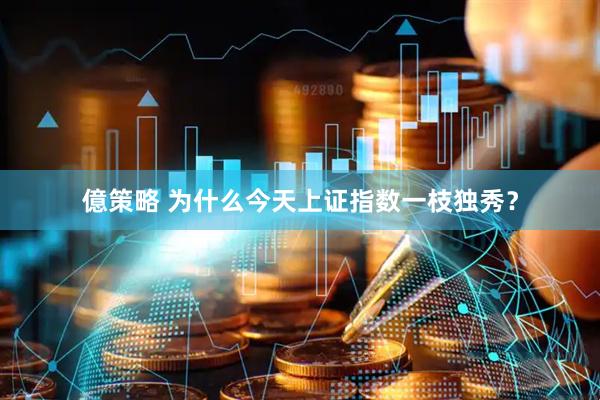 億策略 为什么今天上证指数一枝独秀？