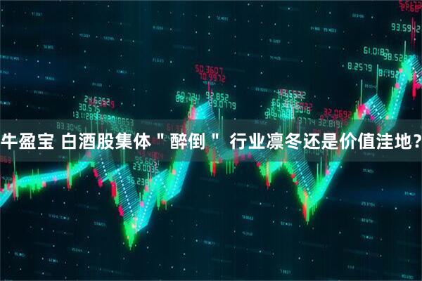 牛盈宝 白酒股集体＂醉倒＂ 行业凛冬还是价值洼地？
