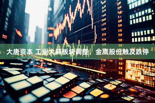 大唐资本 工业大麻板块调整，金鹰股份触及跌停