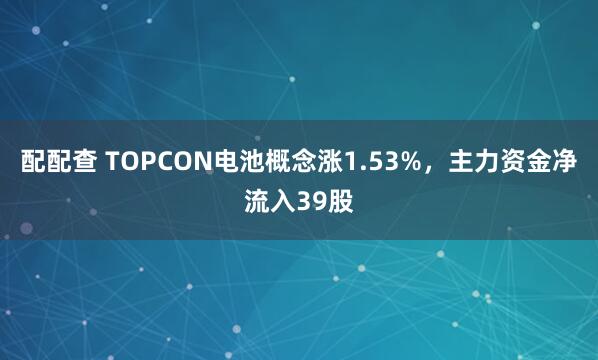 配配查 TOPCON电池概念涨1.53%，主力资金净流入39股