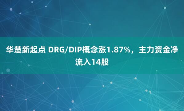 华楚新起点 DRG/DIP概念涨1.87%，主力资金净流入14股