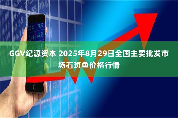 GGV纪源资本 2025年8月29日全国主要批发市场石斑鱼价格行情