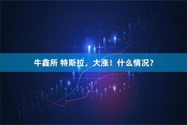 牛鑫所 特斯拉，大涨！什么情况？